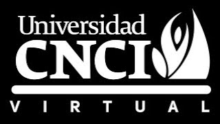 PROYECTO INTEGRADOR PROGRAMACION ORIENTADA A OBJETOS CNCI 2022