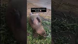 Herkeste Aynı Durum Bende