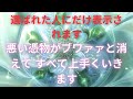おめでとう!!神々はあなたの味方です。あとはプレイするだけです。忘れずに再生ボタンを押して振動を感じてください。日本の神々はすべての人に幸運と人生の安定を与えます