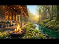 Serene Spring Cabin Porch By The Stream Crackling Campfire Relaxing Water Sounds Birdsong Serene Spring Cabin Porch By The Stream Crackling Campfire Relaxing Water Sounds Birdsong