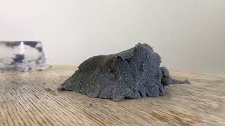 The coin#stopmotion 