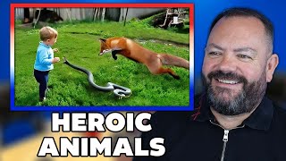 37 Hero Animals that Saved Human Lives ! REACTION | OFFICE BLOKES REACT!!