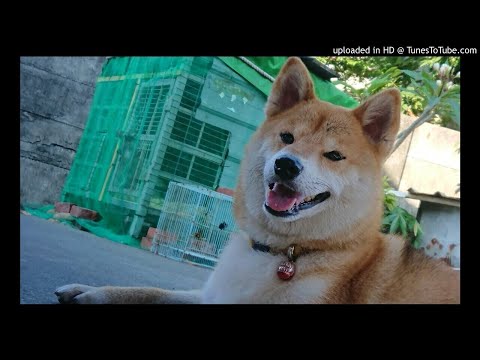 咪嚕KTV-告白氣球