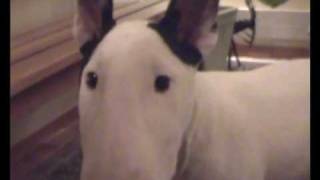 Madlab Eye Candy 4 Months