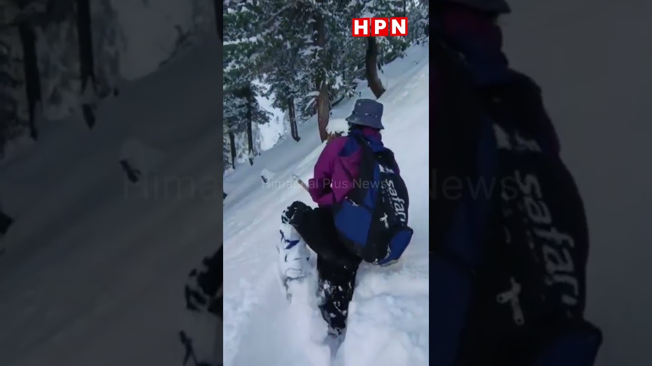 भरमौर में लापता दो युवक, खराब मौसम बना बाधा — जंगल में दो दिन से जारी रेस्क्यू ऑपरेशन