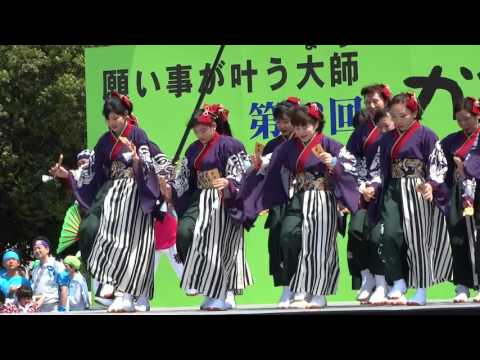 踊りゃん祭 『杜若』／第13回川崎楽大師まつり 厄除よさこい2017