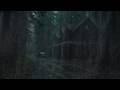 Relaxing Heavy Rain at Night in the Forest | Natural Sounds for Stress Relief, Focus and Deep Sleep