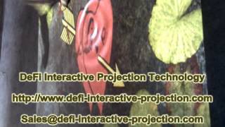 DEFI Interactive floor/wall projection system basic version with 62 effects from $200 to $650