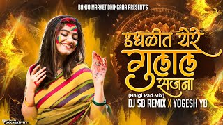 Udhalit Yere Gulal Sajana Tu Sham Mi Radhika DJ |उधळीत येरे गुलाल Remix|DJ Aggy Style