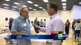 Amateur wine makers compete in Lodi