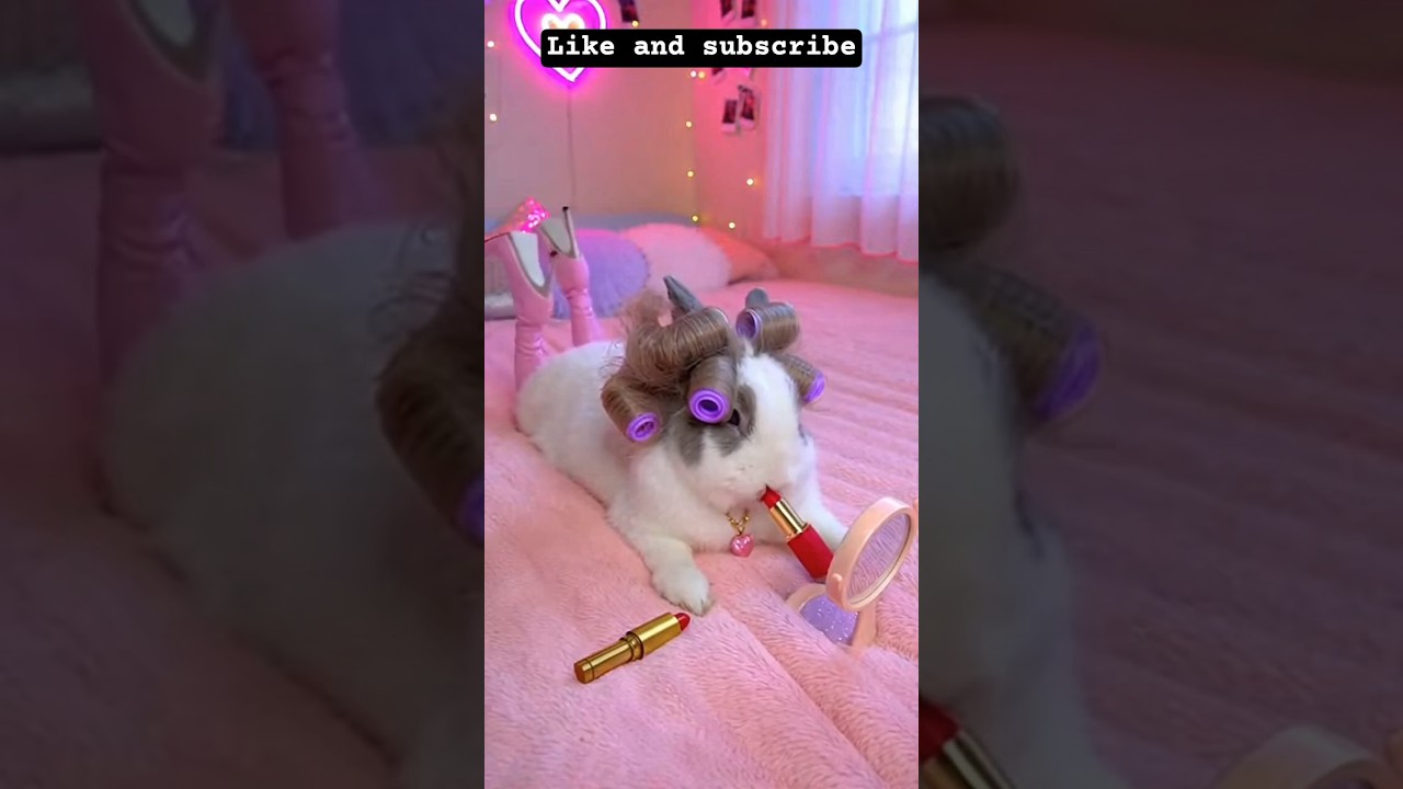 The girl rabbit is doing makeup 🐇🖍️