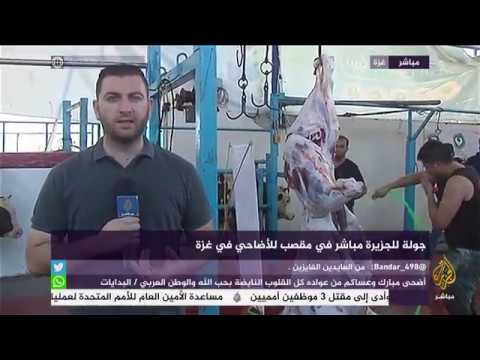 جولة للجزيرة مباشر في مقصب للأضاحي في غزة
