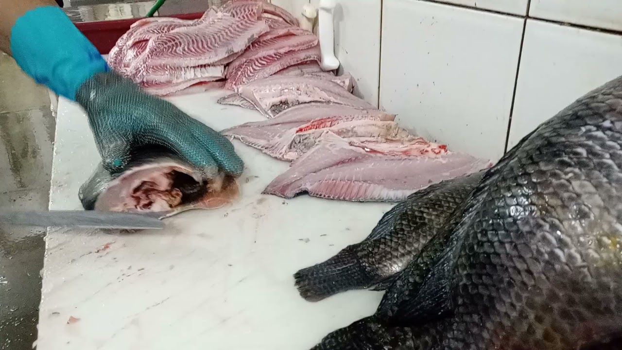 modo fácil de fazer filé de tilapia