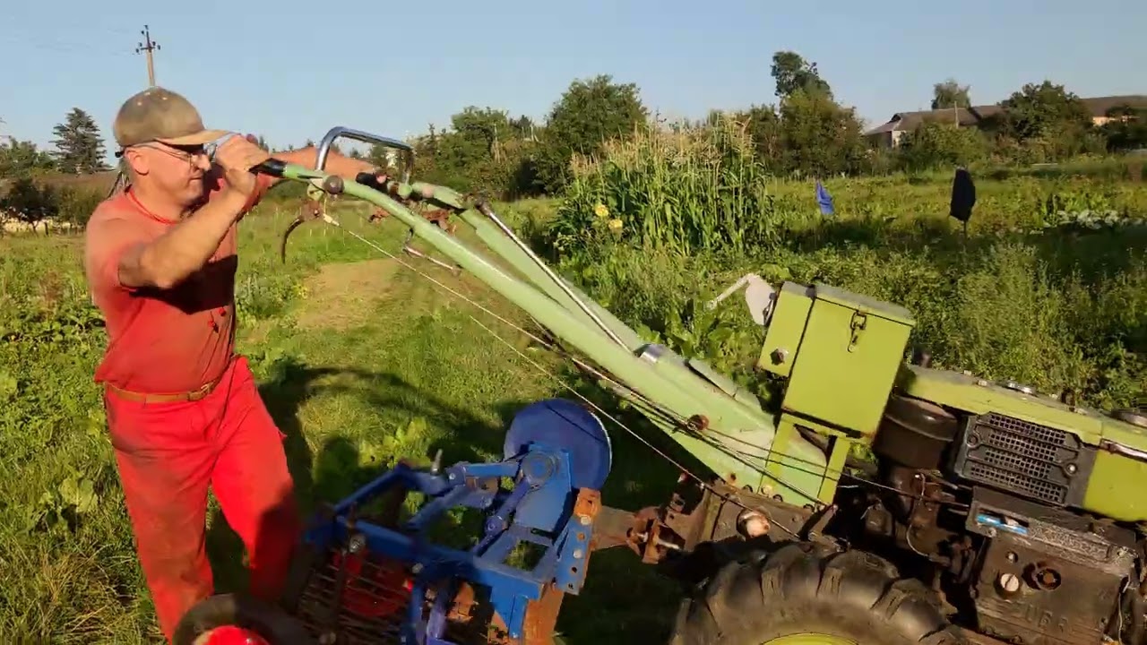 Копнув картоплю на пробу, 2025 рік