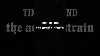 Time to Find The Acacia Strain