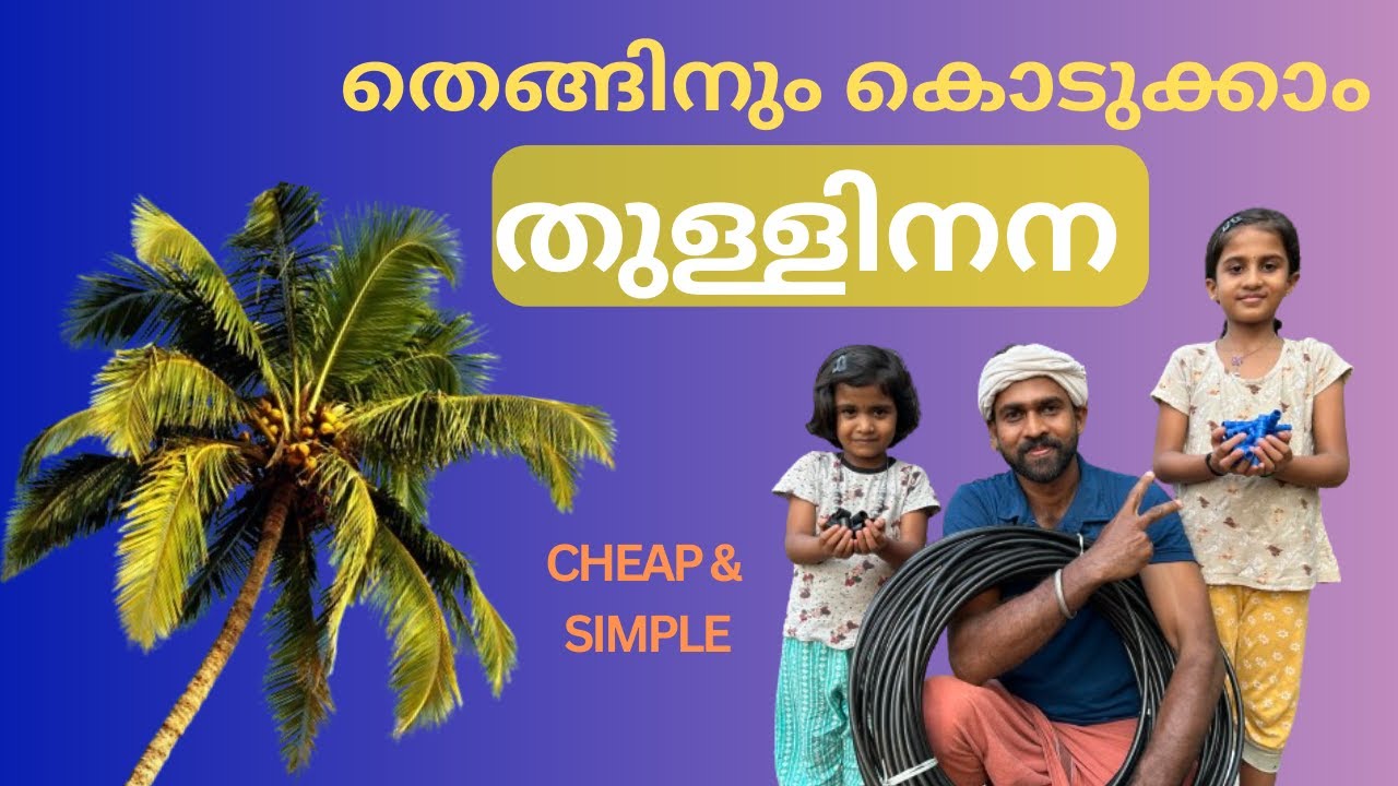 Cheapest & Simple method of drip irrigation for Coconut Tree | വേനലിൽ തെങ്ങിനു തുള്ളിനന 2024
