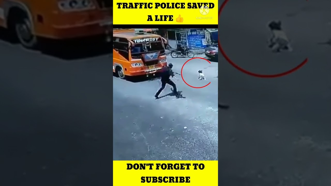 Traffic police officer saved the child 