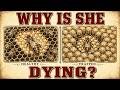 Is Your Queen Choking? The 1895 "Honey Bound" Trick That Saves Summer Hives