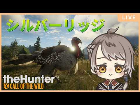 参加型 【 theHunter: Call of the Wild 】久々のシルバーリッジ・ピークス【 #小梟の狩猟生活 / #vtuber 】