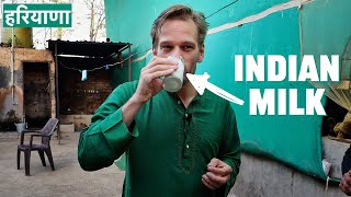 Where Does India's Milk Come From?