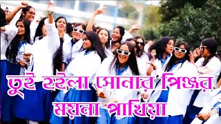 তুই হইলা সোনার পিঞ্জর ময়না পাখিয়া  dj _ Tui Hoila Sonar Pinjar Mayana dj _ TikTok Viral dj Song 2024
