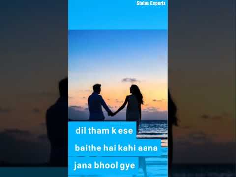 mere-samne-wali-khidki-me---female-version-|-full-screen-whatsapp-status-|-status-experts