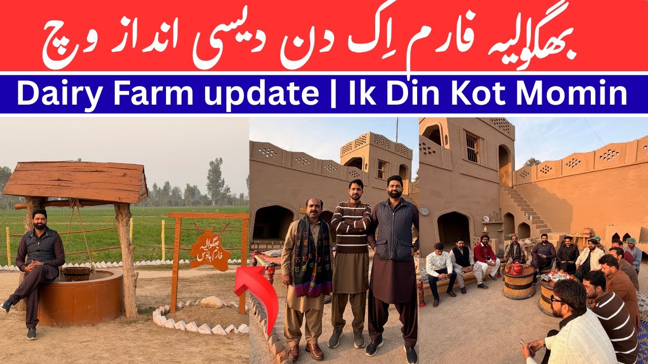 Desi Life Style | Dairy Farm Update | Bhagwalia Farm | Mud House | Traditional Village Life 