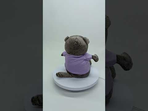 М’яка іграшка Котик Басик сірий 30 см у фіолетовій футболці — плюшевий котик M47440, відео 1