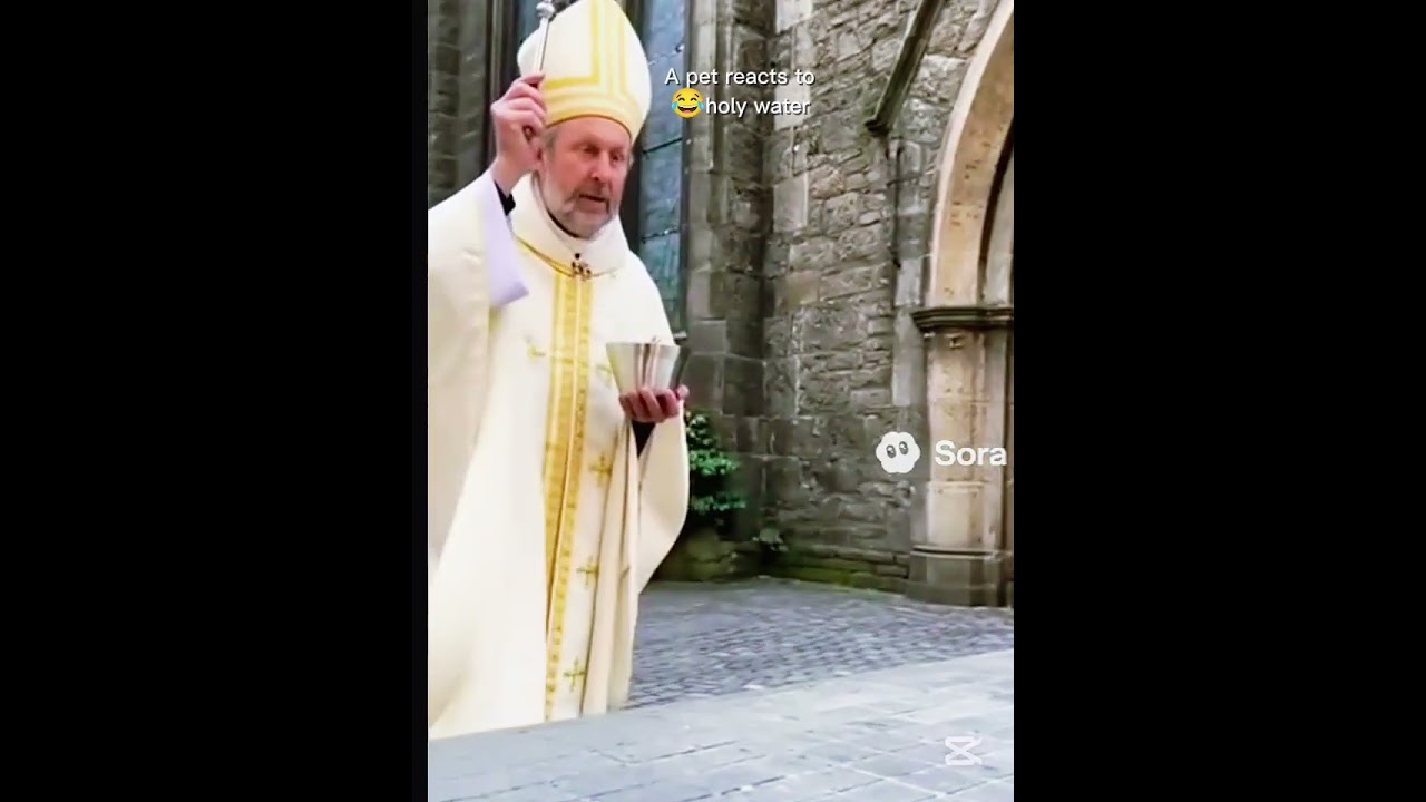 pet reacts to holy water 💦😂😂🤣🤣🤣 