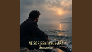 Ne Sor Beni Nede Ara
