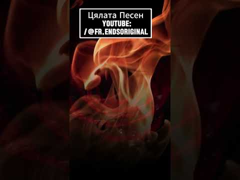 Дони и Момчил Дива Роза Cover By Fr Ends 2025