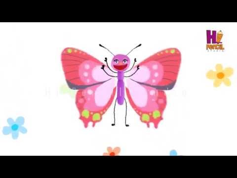 Video [Điều Chúng Mình Chưa Biết] - Trích đoạn: Vòng đời của... - youtube