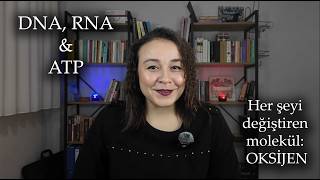 DNA, RNA ve ATP: Bir Oksijen Atomunun Hayatı Değiştiren Etkisi