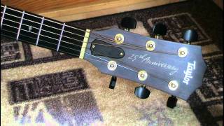 Taylor510AB_25thAnniversary.avi