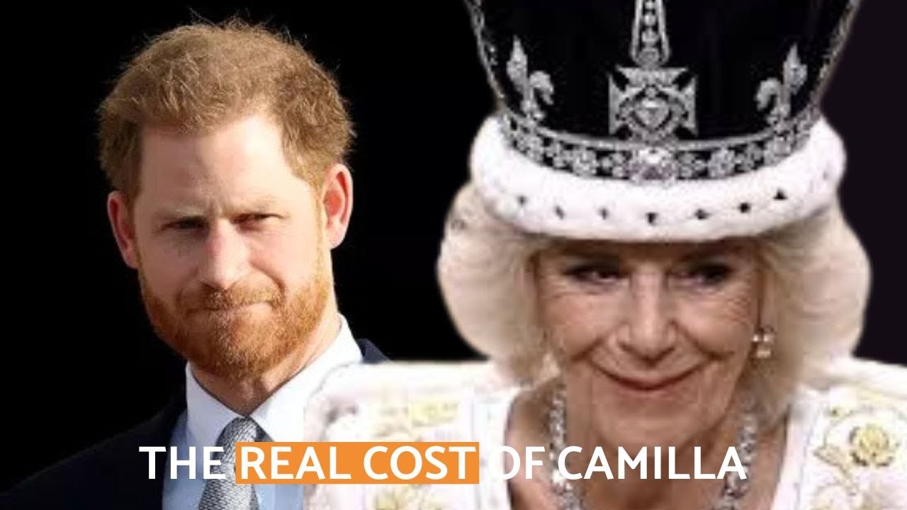 The Cost of Camilla Wicked Stepmother or Mastermind The Truth Behind