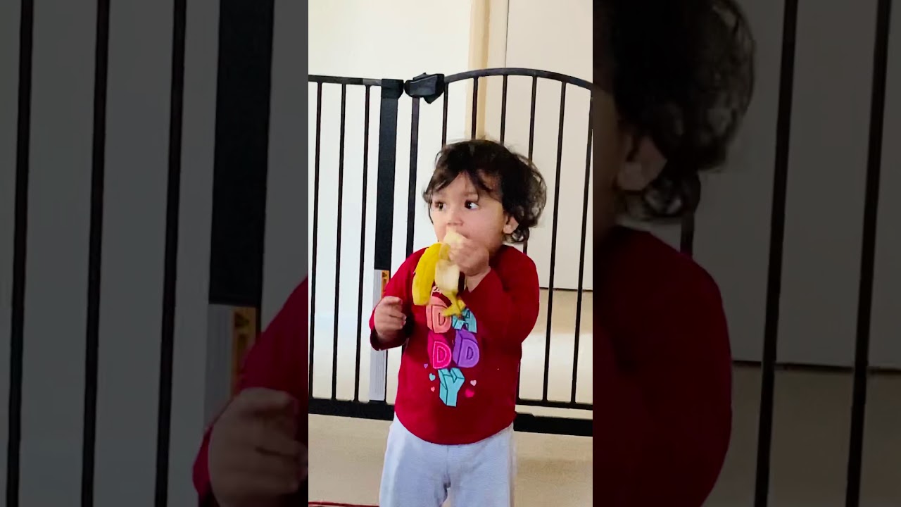 I Like To Eat Apples And Bananas Wiggles