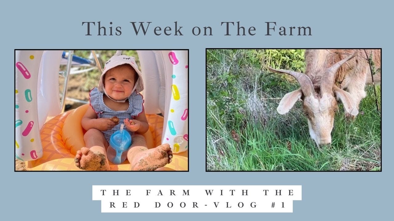This Week on The Farm...