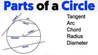 Let’s Learn The DIFFERENT PARTS OF A CIRCLE!