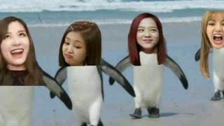 Kısaca Blackpink
