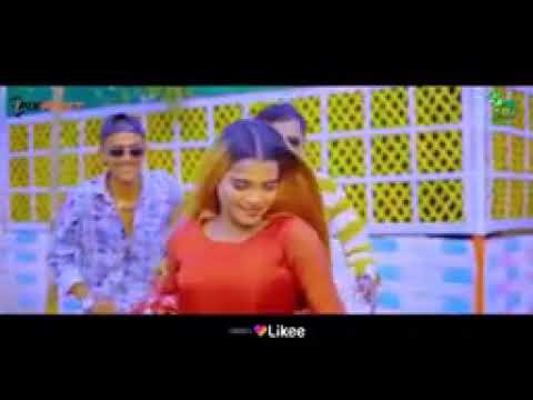 পাখি আমার নিটুর বরো মনো বুজেনা #