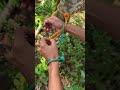 daily life hacks with rope 🪢 #shorts #viral #trending #chp