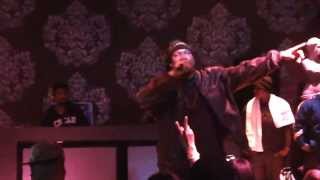 KRS-One - Live - ST. Louis, Missouri - I Got Next and Other Freestyles