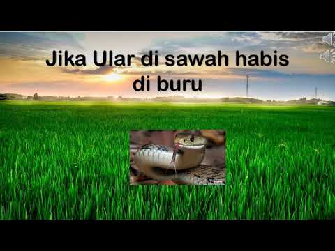 digital-storytelling-keseimbangan-ekosistem-sawah