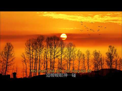 Đã từng quen biết (也曾相識) (Vietsub), performer: Antonio T.X. Bach