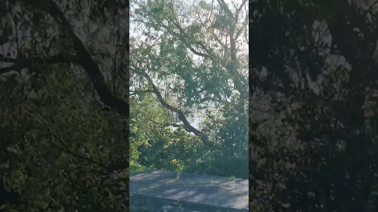 Форт "Риф". Шахта "ныряющего" орудия. ДОТ номер 23 Кронштадтского укрепрайона. 3.07.2025.