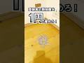 1円に部屋が侵食される! #罰ゲーム #1円 #お金 #vtuber #ミツゲツ