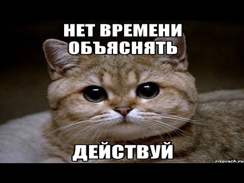 Нет времени объяснять картинка