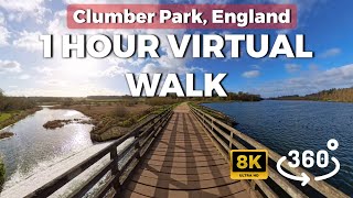 1hour 360 Virtual Power Walk  Clumber Park England Uk 8k Vr Treadmill Experience