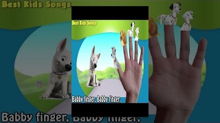 Dogs - Finger Family Song Collection - Nursery Rhymes Dogs Finger Family for Kids