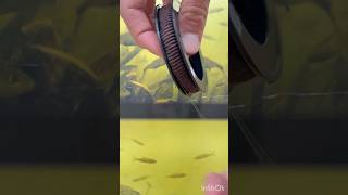 Fishing tips #fishing #спінінг #carpfishing #carp #bassfishing #tutorial #fish #fishinglife #angler